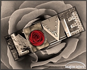 Wall_Art_Alphabet_Photography_Art_ 1383